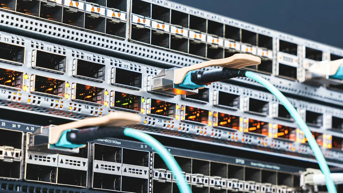 Cables de red conectados a un panel de servidores