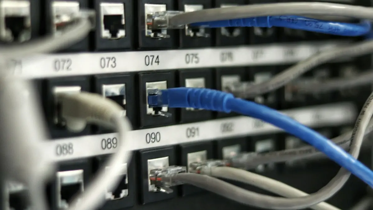Cable de red azul conectado a un panel de puertos numerados