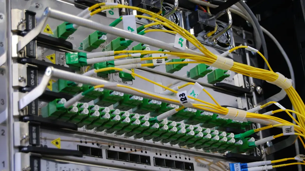 Cables de fibra óptica amarillos conectados a un rack de red