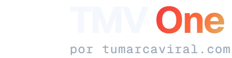 TMV One